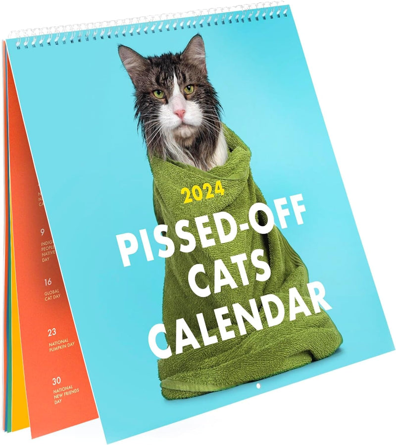 2024-pissed-off-cats-calendar-yocartgo