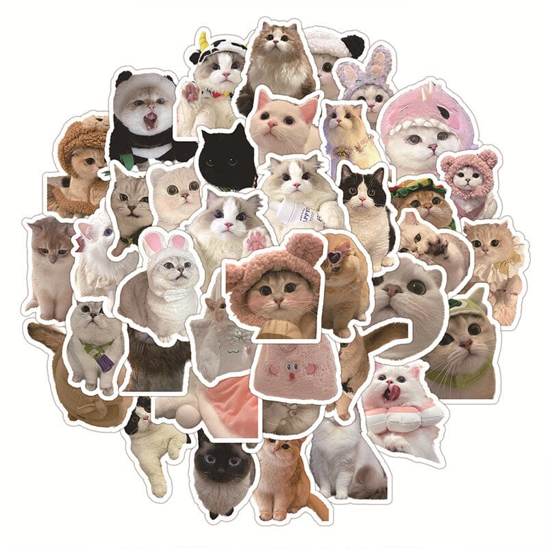 60pcs Cute Aesthetic Cartoon Stickers