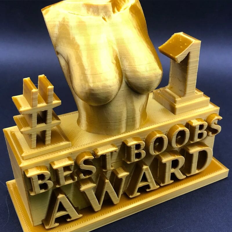 FUNNY BEST BOOBS/ASS AWARD