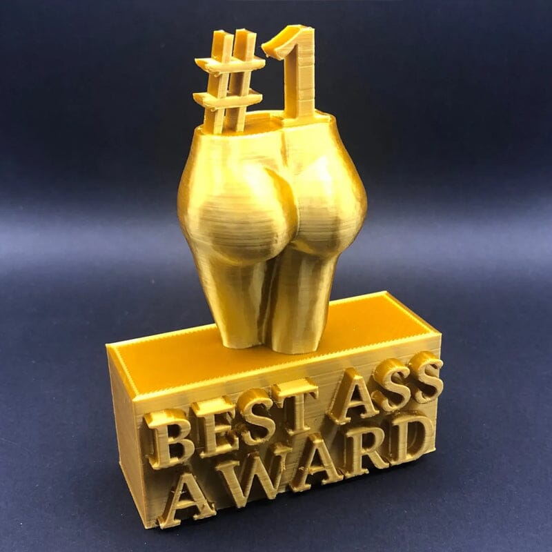 FUNNY BEST BOOBS/ASS AWARD