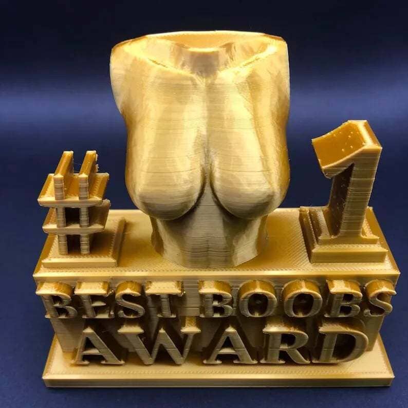 FUNNY BEST BOOBS/ASS AWARD