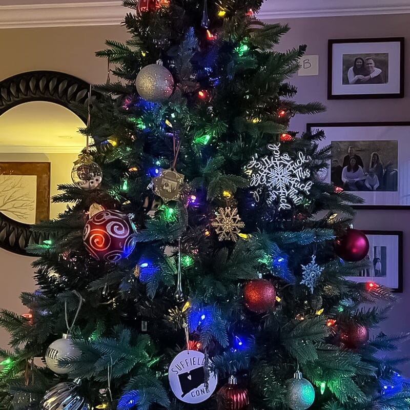 Funny Christmas Ornament | Perfect ornament for annual summary