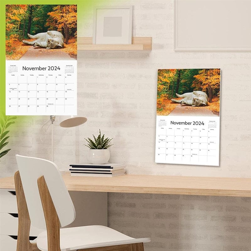 2024 Lazy Cats Calendar