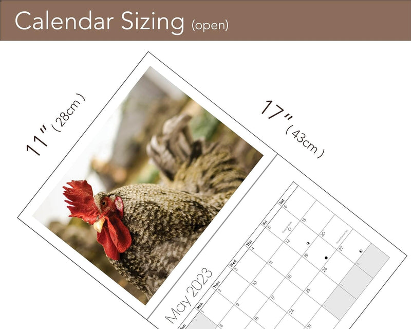 Big Cocks 2024 Wall Calendar - A Classy Collection of Rooster Photos