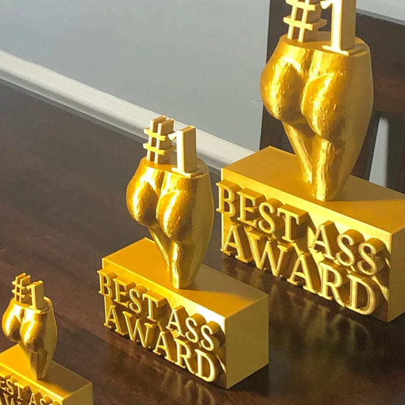 FUNNY BEST BOOBS/ASS AWARD