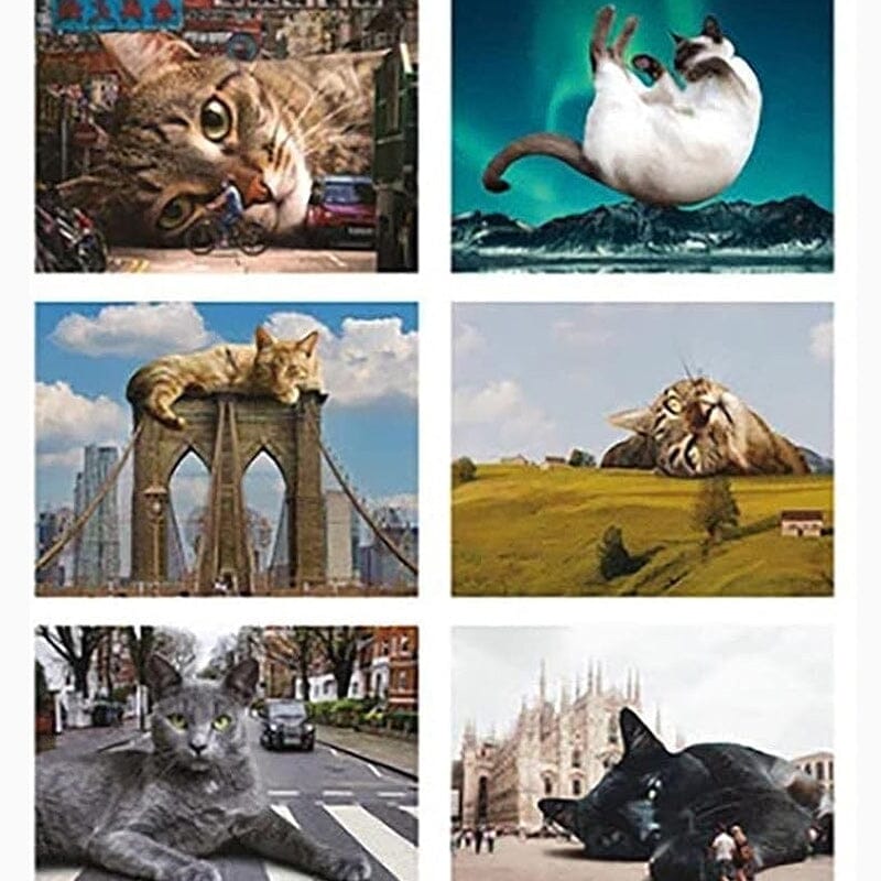 2024 Lazy Cats Calendar