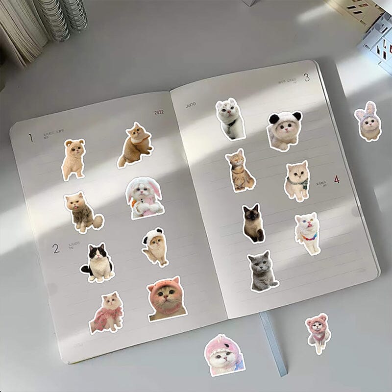 60pcs Cute Aesthetic Cartoon Stickers