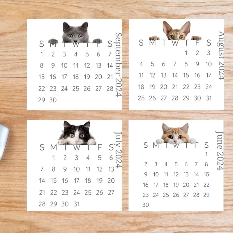2024 Peeking Cat Desk/Wall Calendar