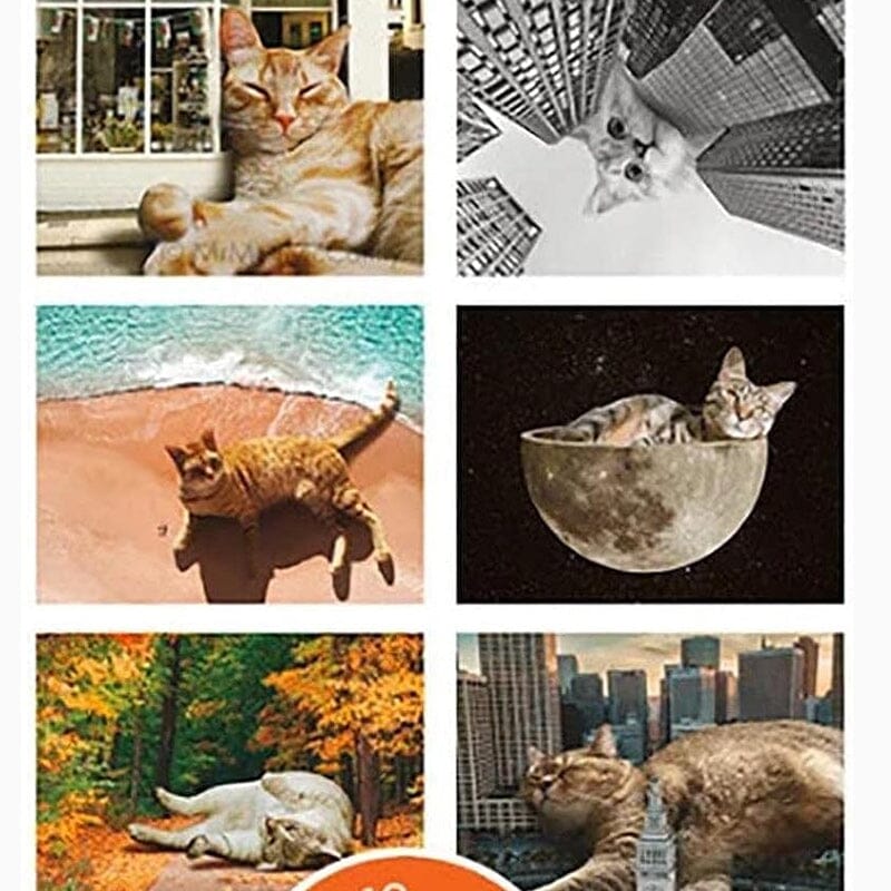 2024 Lazy Cats Calendar