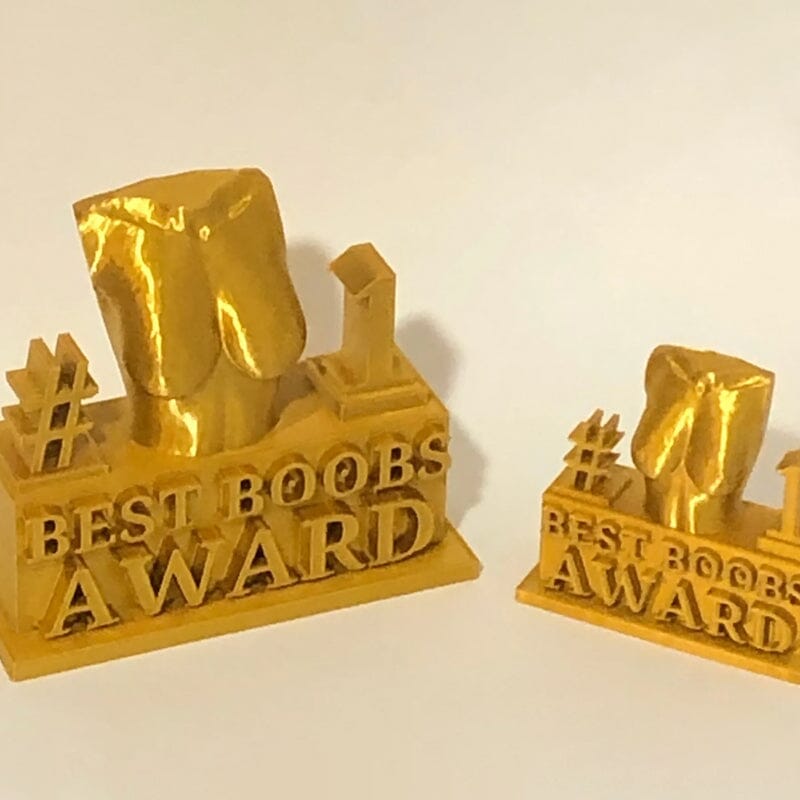 FUNNY BEST BOOBS/ASS AWARD