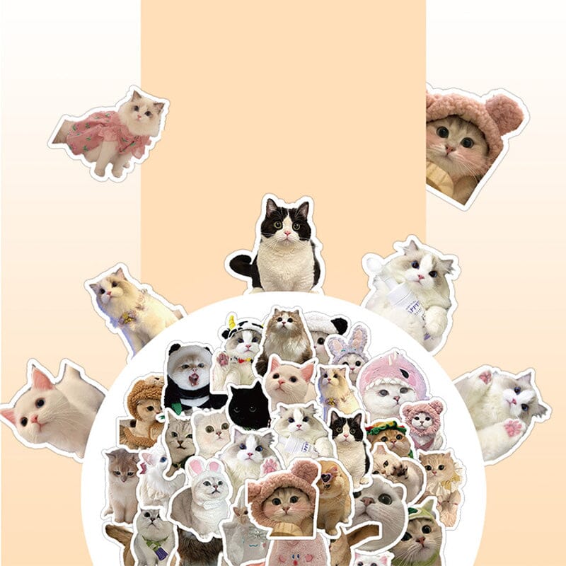 60pcs Cute Aesthetic Cartoon Stickers