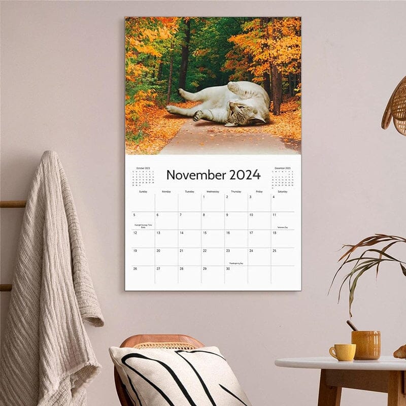 2024 Lazy Cats Calendar