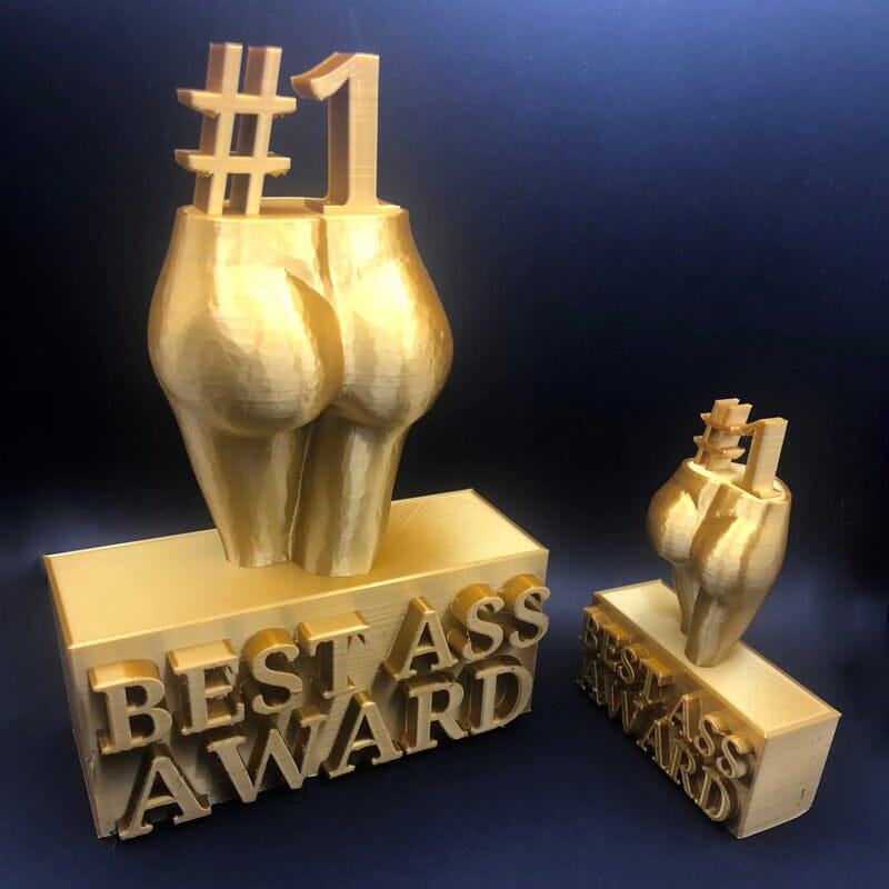 FUNNY BEST BOOBS/ASS AWARD