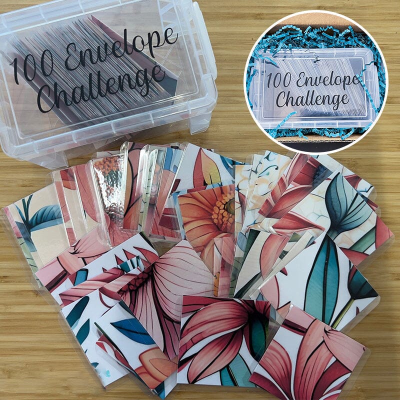 100 Envelope Challenge Box Set